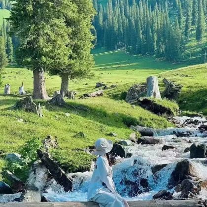 新疆伊犁8日7晚拼小团