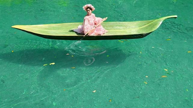 神农架、宜昌+8