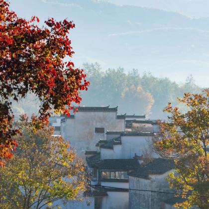 安徽黄山+西溪南古村落+阳产土楼4日3晚自由行