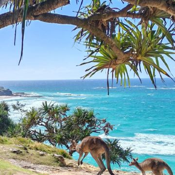 澳大利亚凯恩斯4日3晚私家团