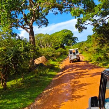 马尔代夫+新加坡+马来西亚8日7晚私家团