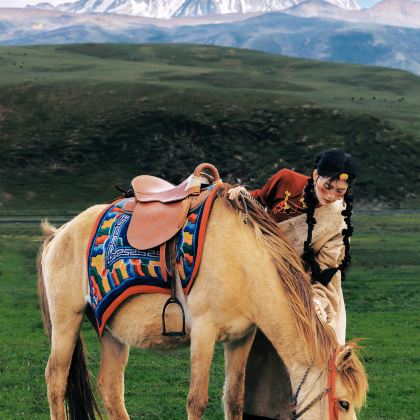 成都+四姑娘山景区+丹巴+墨石公园景区+塔公草原+格聂山+格聂之眼+巴塘措普沟景区+稻城亚丁+新都桥+鱼子西10日9晚私家团