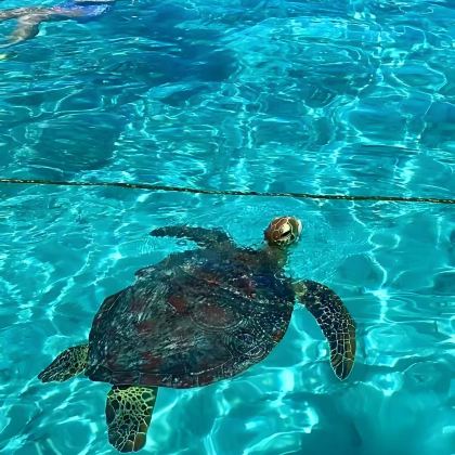 日本冲绳6日5晚私家团