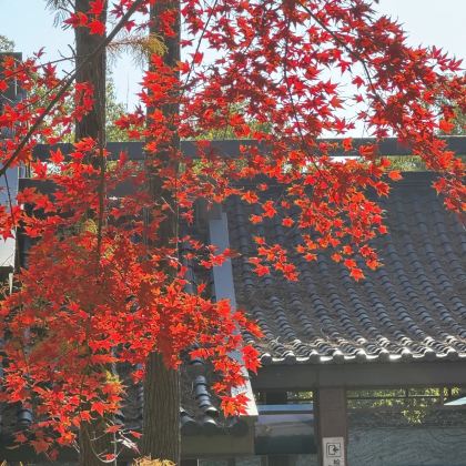 无锡+清名桥古运河景区3日2晚私家团