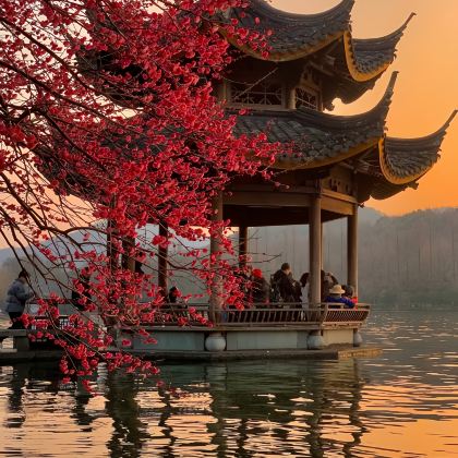 上海+杭州+乌镇5日4晚私家团