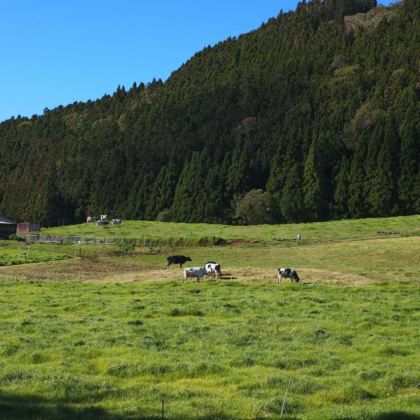 留尼汪（法属）7日6晚私家团