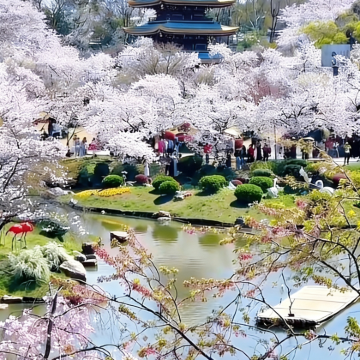 宜昌+神农架+武当山风景区+武汉7日6晚跟团游