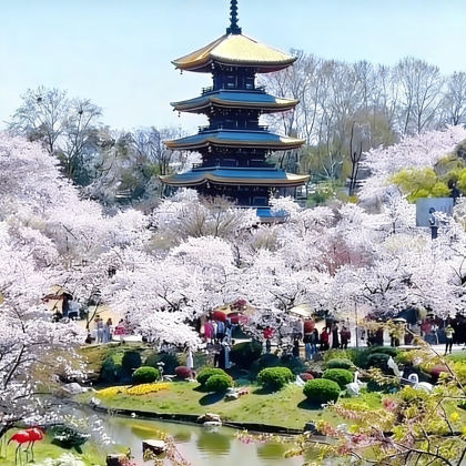 宜昌+神农架+武当山风景区+武汉7日6晚跟团游
