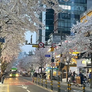 韩国首尔3日2晚私家团