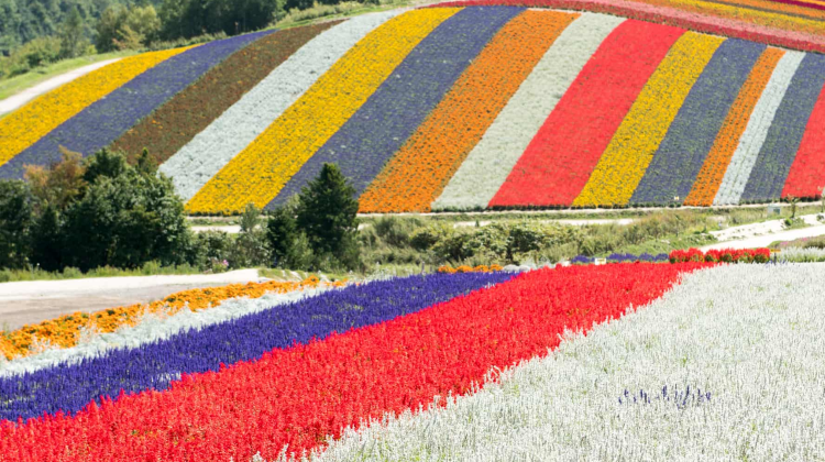 8-Day AIRFARE INCL·Japan: Sapporo + Chitose + Noboribetsu + Lake Toya + Furano + Otaru · SG Departure · Flights Incl · Meals Incl · SG Tour Leader · Leisure Pace · Senior-Friendly
