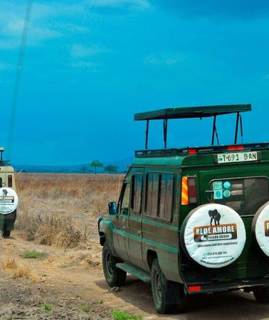 5D4N • Top Best 5 Days Tanzania Luxury Safari to Serengeti