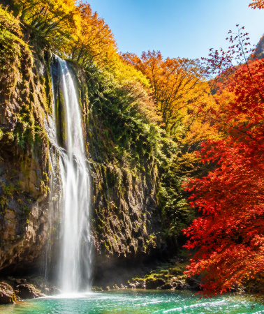 6天5晚 • 張家界＋鳳凰＋芙蓉鎮＋黃龍洞景區＋張家界國家森林公園＋天門山國家森林公園＋阿凡達山＋大峽谷玻璃橋