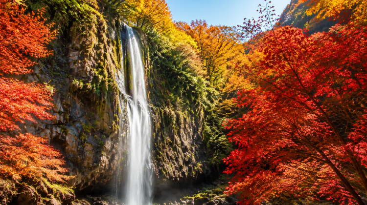 6-Day Zhangjiajie + Fenghuang + Furong Town + Huanglong Cave + Zhangjiajie National Forest Park + Tianmen Mountain + Avatar Mountains + Grand Canyon Glass Bridge
