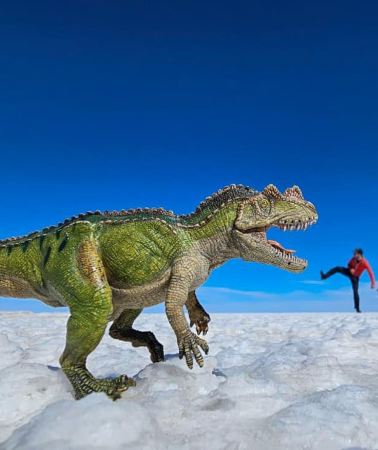 5D4N • Multi-Day Uyuni & Colored Lagoons Round-Trip from La Paz