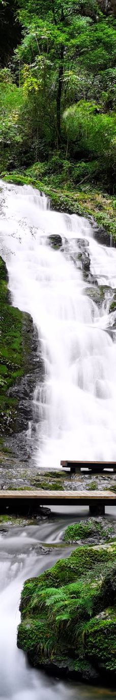 黑山谷风景区-重庆
