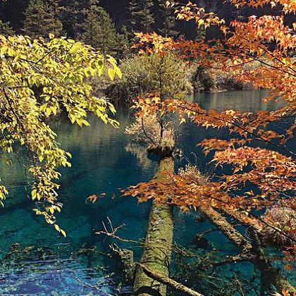 中国四川阿坝藏族羌族自治州九寨沟风景区2日1晚跟团游