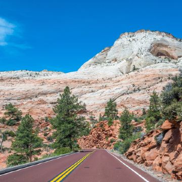 美国+纽约+华盛顿10日9晚私家团