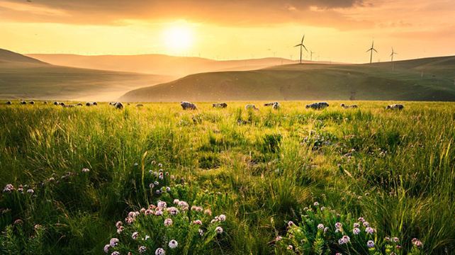 5-Day Northern China Private Tour from Beijing·Chengde Mountain Resort, Simatai Great Wall, Saihanba | Grassland Mongolia Nadam Festival | Ewenki Reindeer Tribe Experience