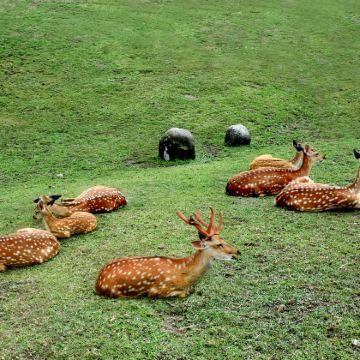 湖南郴州3日2晚拼小团