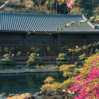 韶关+丹霞山+云门寺5日4晚私家团