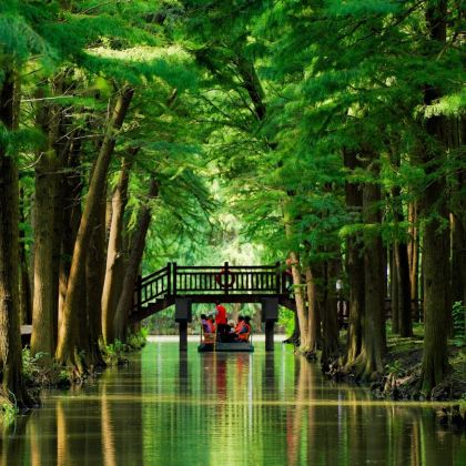 扬州+镇江+泰州6日5晚私家团