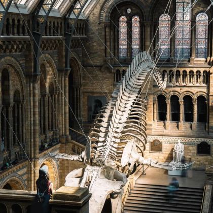 英国10日9晚私家团