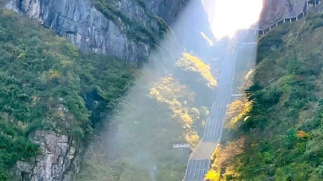 长沙+14
