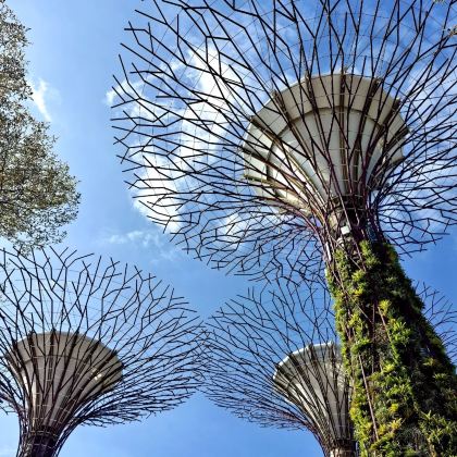 新加坡+马来西亚5日4晚私家团