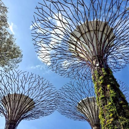 新加坡+马来西亚5日4晚私家团