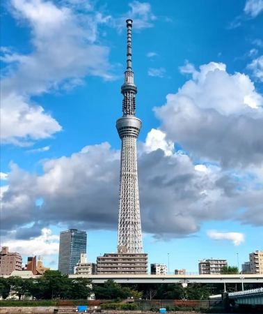 7日6晚 • 【湯宿箱根 +東京富士湖光尋夢】河津糸川遊步道+大室山纜車凌空俯瞰山海+伊豆山神社