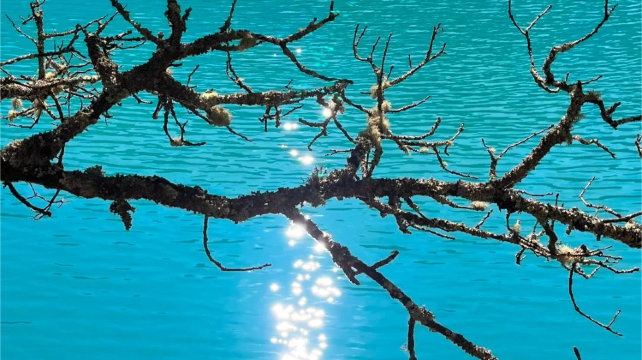 10-day 9-night · Private Tour · Kunming + Dali + Lijiang + Shangri-La· Dali, Shangri-La, Lijiang, Dukezong, Yulong Snow Mountain, Songzanlin Monastery, Tiger Leaping Gorge