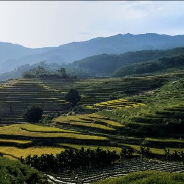 五指山+红峡谷漂流4日3晚私家团