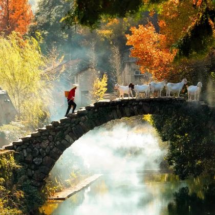 丽水+古堰画乡旅游度假区+云和梯田景区+缙云仙都景区2日1晚私家团