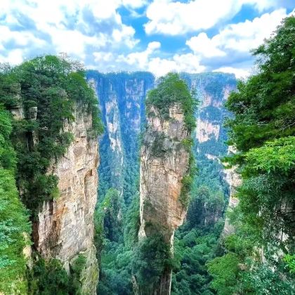 长沙+韶山+张家界+天门山+凤凰4日3晚跟团游