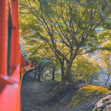 大阪+京都7日6晚跟团游