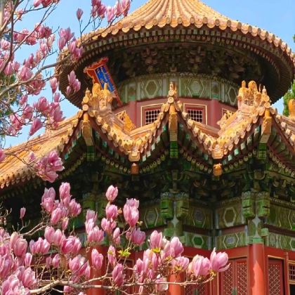 北京5日4晚私家团