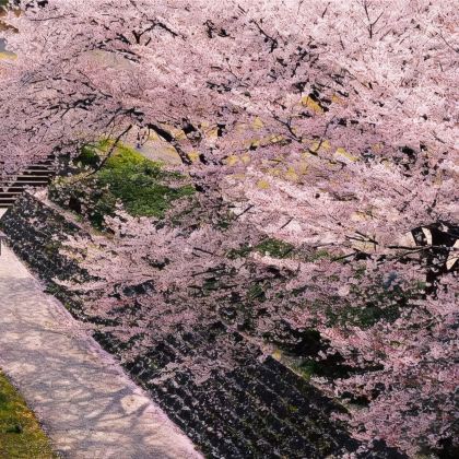 日本名古屋+下吕市+金泽7日6晚私家团