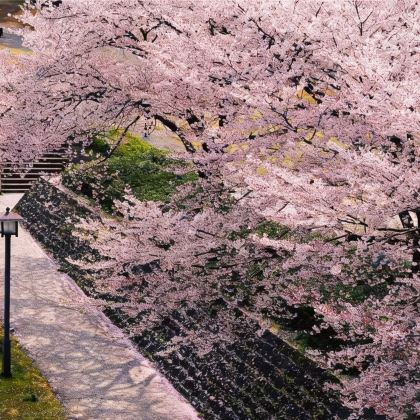 日本名古屋+下吕市+金泽7日6晚私家团