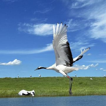 哈尔滨+伊春+汤旺+五大连池市+齐齐哈尔7日6晚自由行