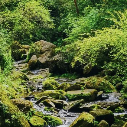 中国宁夏固原六盘山国家森林公园2日1晚拼小团
