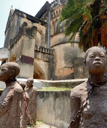 2D1N • 2 days tour from Jozani forest to Stone town zanzibar