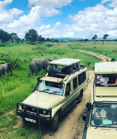 3D2N • 3 Days 2 Nights Adventures At Mikumi National Park