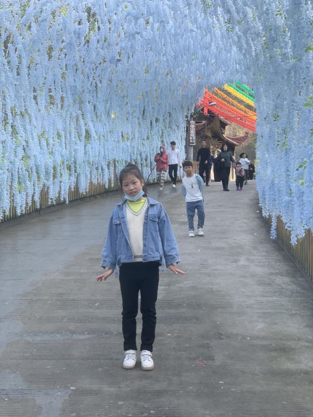 吹台山森林公园旅行图片 2