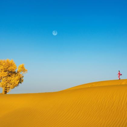 新疆南疆+喀什市9日8晚私家团