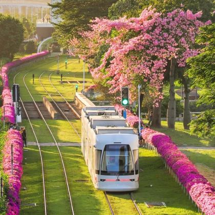 广州+佛山+顺德区4日3晚自由行