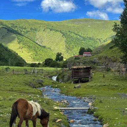 甘肃天水+甘南+扎尕那+莲宝叶则景区+迭部+西安8日7晚跟团游