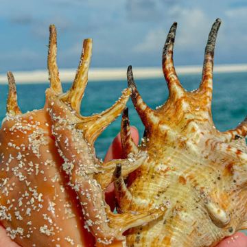 三亚+西沙群岛+南山+大小洞天6日5晚私家团