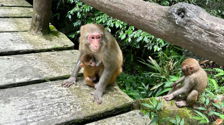 6-day 5-night · Private Tour · Zhangjiajie National Forest Park + Wu Ling Yuan + Tianmen Mountain National Forest Park + Fenghuang Ancient Town
