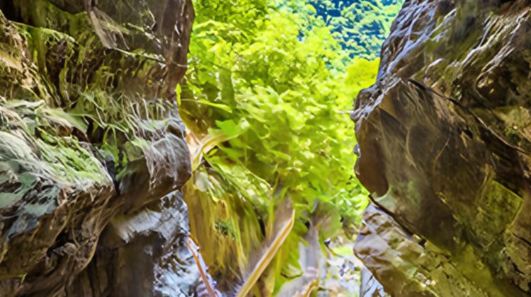 神农架、宜昌+11