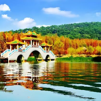 肇庆+清远+七星岩+鼎湖山+古龙峡大瀑布群+清远长隆森林王国+桃花湖+观音山王山寺风景区7日6晚私家团